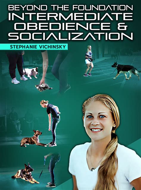 Mastering Basic Obedience and Socialization