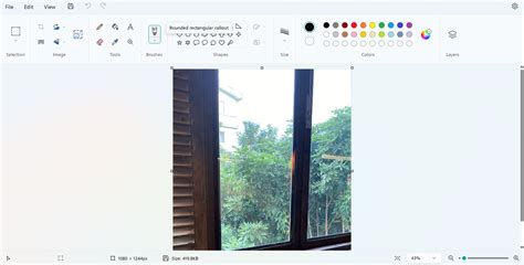 Mastering Basic Tools in Picture Editor Paint