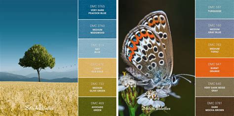 Mastering Colour Palettes for Digital Success