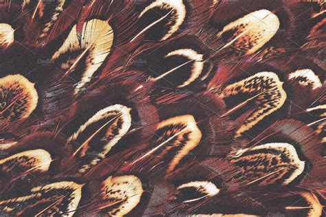 Mastering Feather Textures