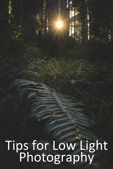 Mastering Low Light Photography