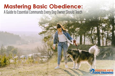 Mastering Obedience Commands