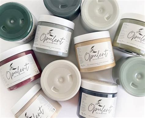 Mastering the Application: Tips for Using Opulent All In One Paint