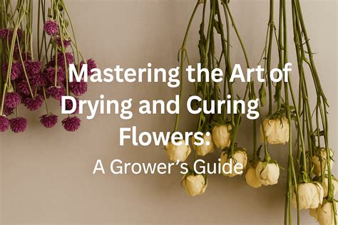 Mastering the Art of Drying