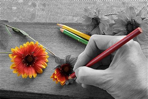 Mastering the Art of Selective Coloring