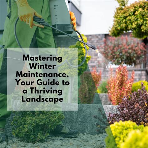 Mastering the Winter Color Maintenance