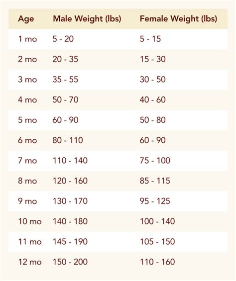 Mastiff Puppy Growth Chart