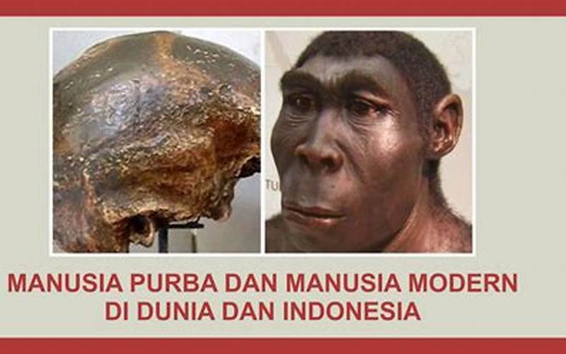 Masuknya Manusia Modern Di Indonesia