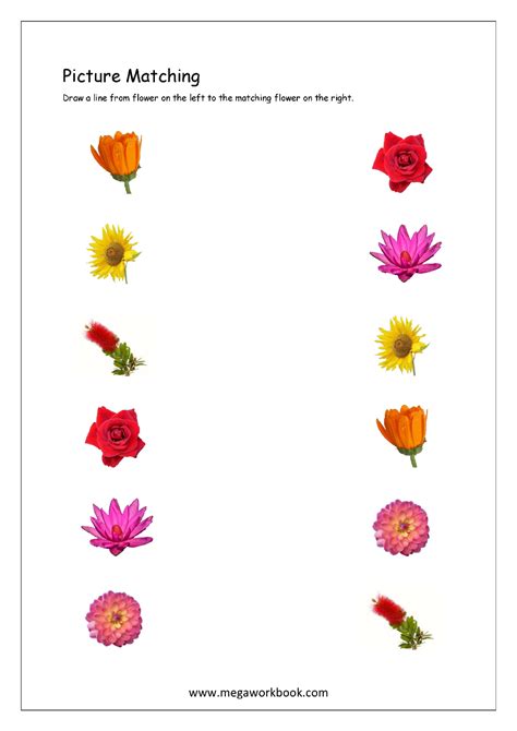 Match The Flowers Worksheet