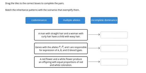 Match The Inheritance Patterns With The Scenarios That Exemplify Them