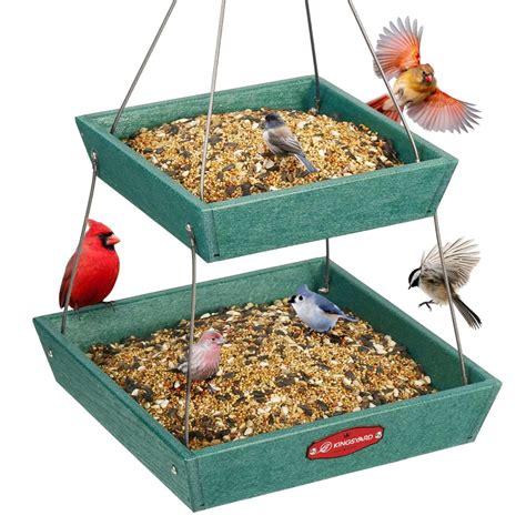 Matching Feeder Type to Bird Type