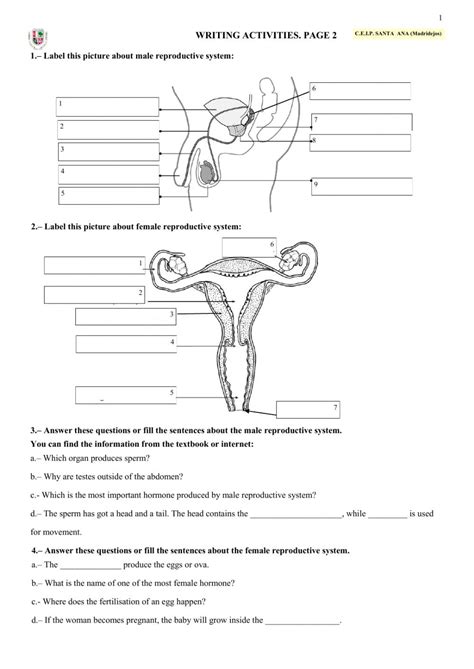 Matching Reproductive Anatomy Worksheet Answers