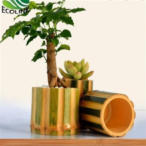 Materi Bahan untuk Membuat Pot Bunga dari Bambu