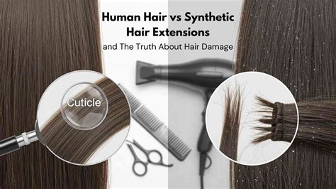 Material Matters Human Hair vs Synthetic