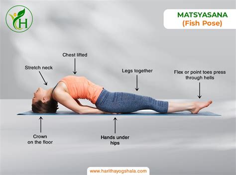 Matsyasana Picture Download
