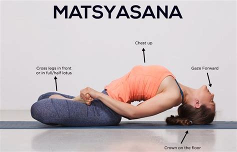 Matsyasana Yoga Muscles