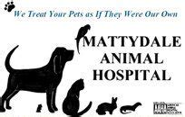 Expert Veterinary Care at Mattydale Animal Hospital in Syracuse, NY - Your Trusted Local Pet Health Partner
