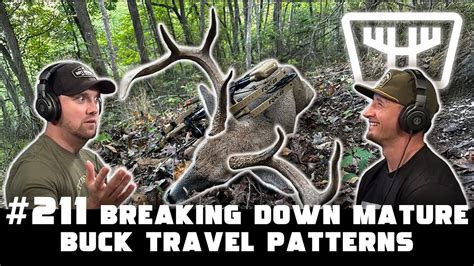 Unveiling the Mysterious Travel Patterns of Mature Bucks