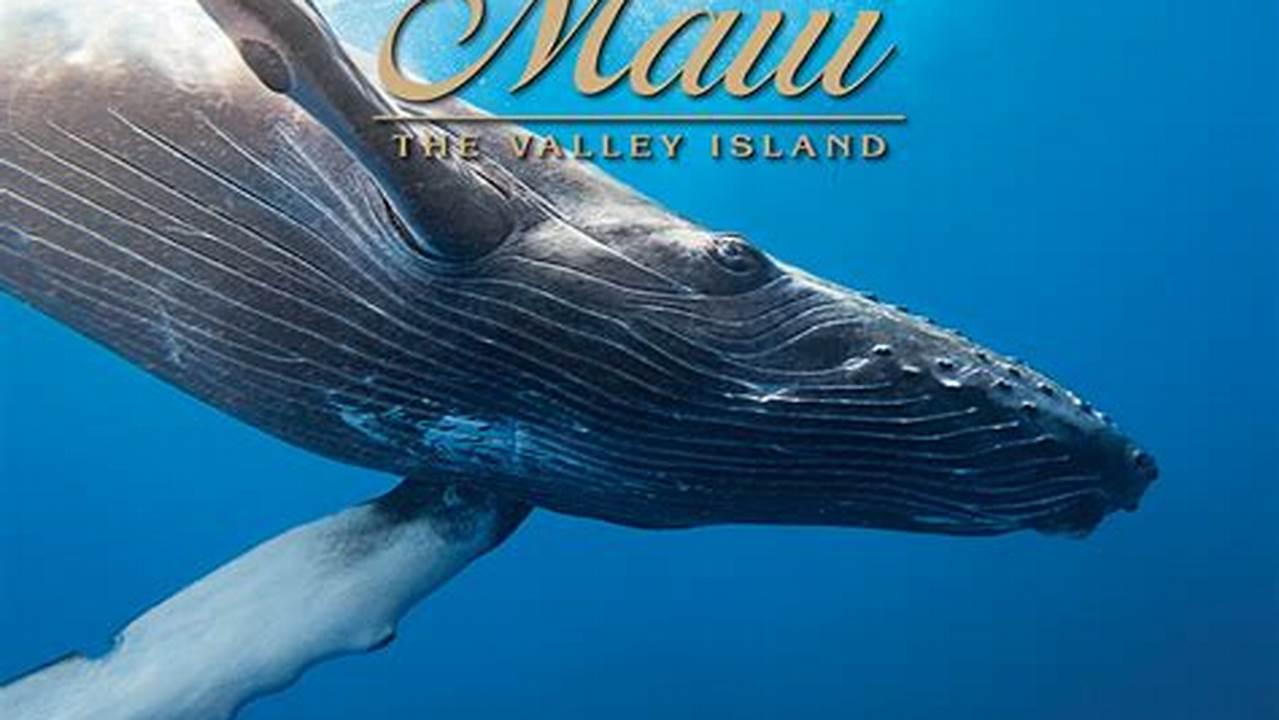 Maui Concert Calendar