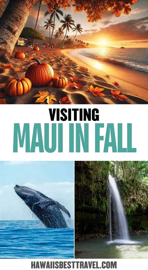 Maui Fall Scenery