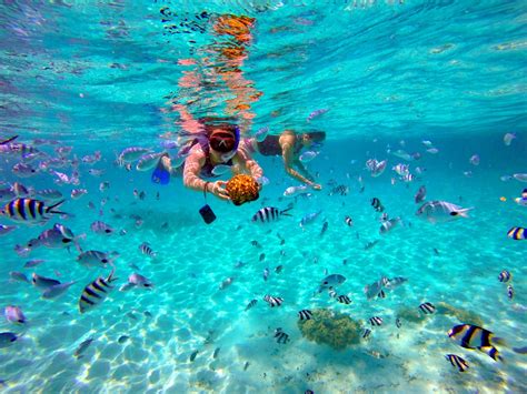 Mauritius snorkeling