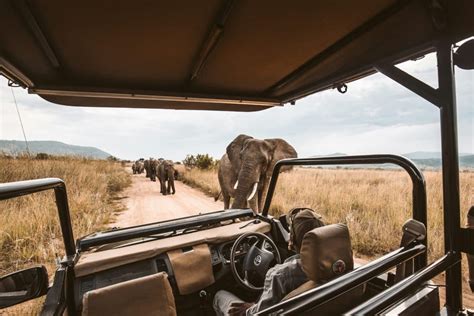 Maximising Safari Trip