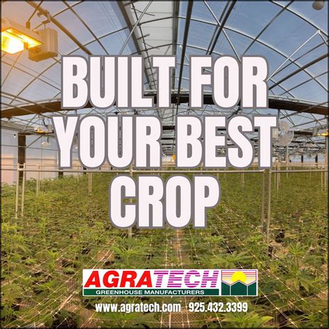 Maximize Agra Experience