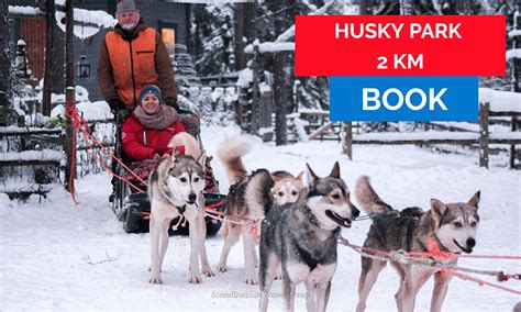Maximize Husky Safari