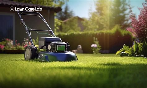 Maximize lawn space with regular maintenance