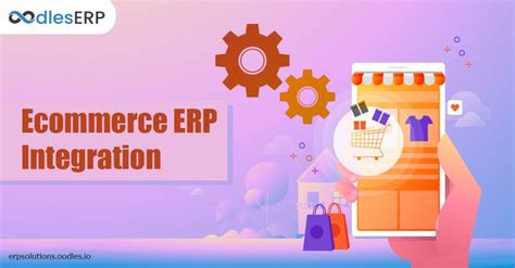 Maximizing Efficiency with Ecommerce ERP Software