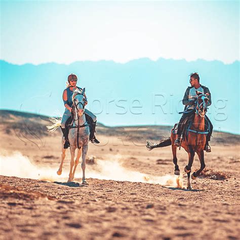 Maximizing Horse Riding Experience