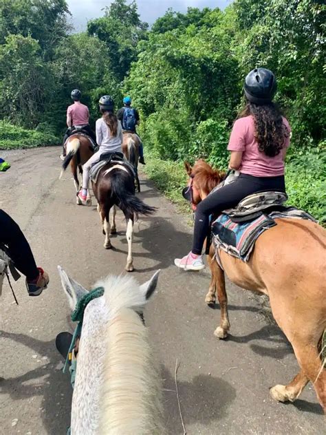 Maximizing Horseback Riding