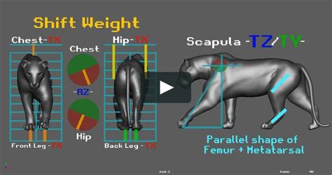 Maximizing Lion Walk