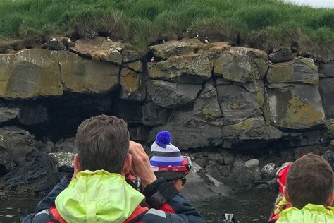 Maximizing Puffin Watching Experience