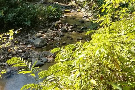 Maximizing private tour