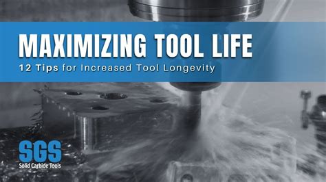 Maximizing Longevity: Post-Application Care