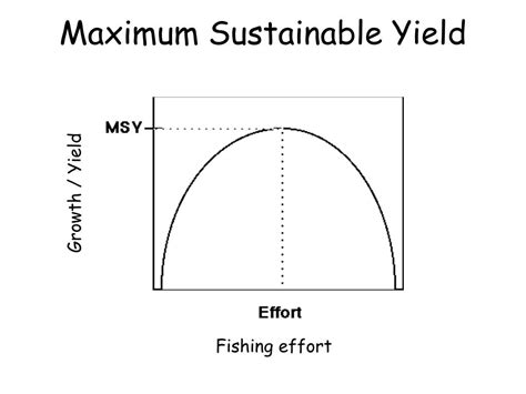 Unveiling the Meaning of Maximum Sustained Yield: Your Key to Ensuring Long-term Fishery Productivity!