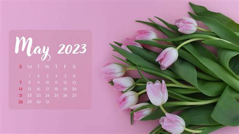 May 2023 Calendar Maker