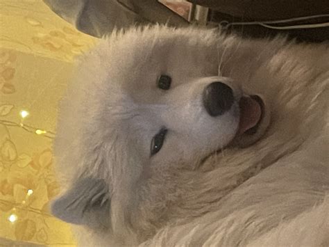 Pin on Who Doesn't Love a Good GIF?