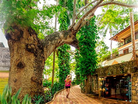 Mayaland Tour Transportation