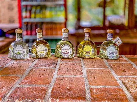 Mazatlan Tequila Factory Tour: An In-Depth Review