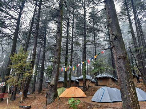 Mcleodganj Nature Trek Review: Is It Worth It?