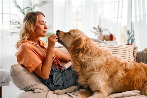 Me As A Dog Owner