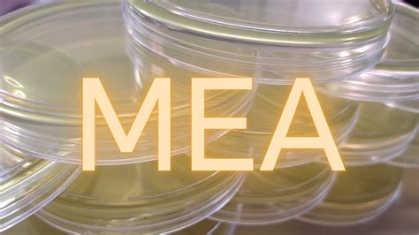 Mea Agar Recipe