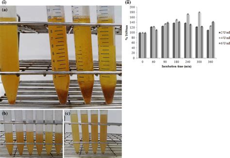 Mead Clarification with Pectin