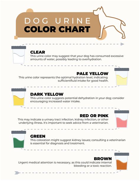 Meaning Dog Urine Color Chart