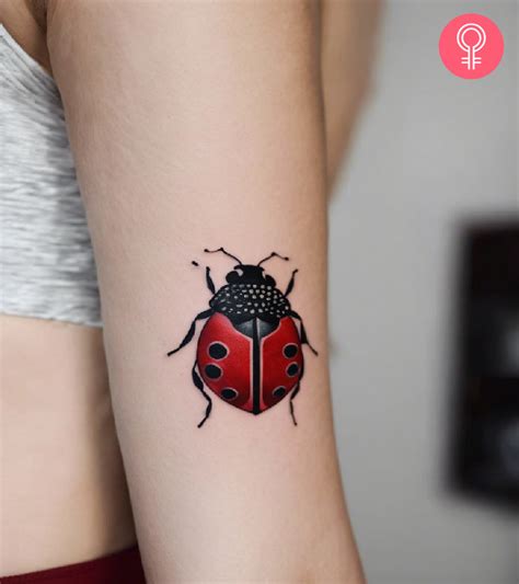 Meaning Of A Ladybug Tattoo