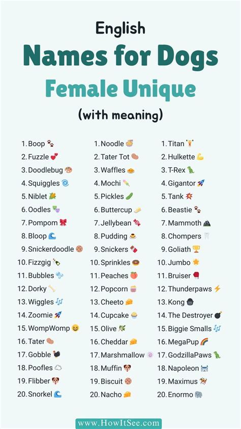 10 Inspiring and Meaningful Dog Names for Your Female Canine Companion