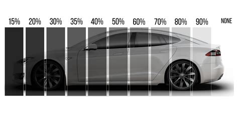 Measure and Cut the Window Tint