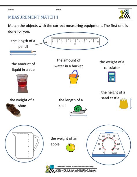 Measurement In Science Worksheet